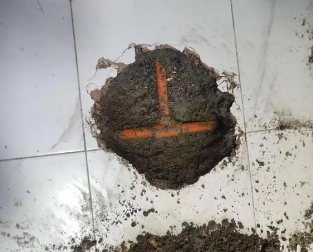 大厂查漏水多少钱
